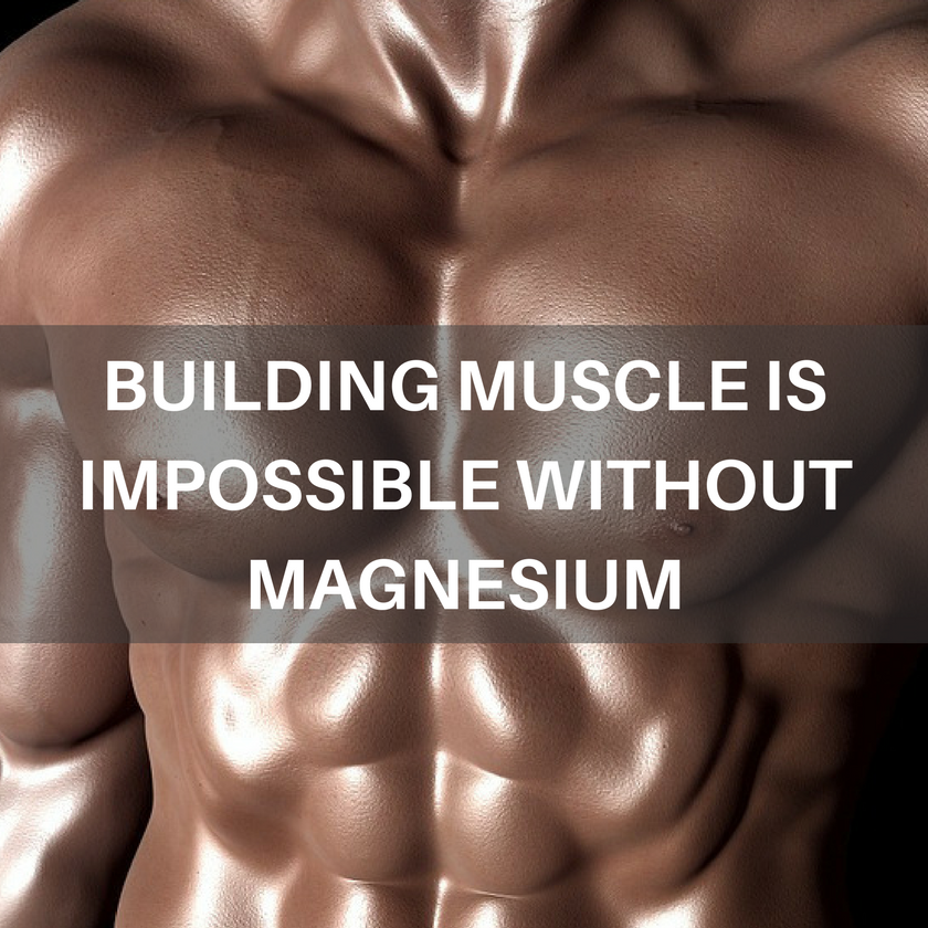 BUILDING MUSCLE WITH MAGNESIUM