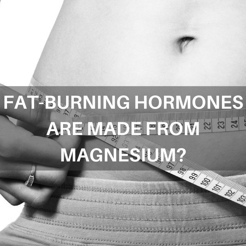 FAT-BURNING HORMONES ARE MADE FROM MAGNESIUM?