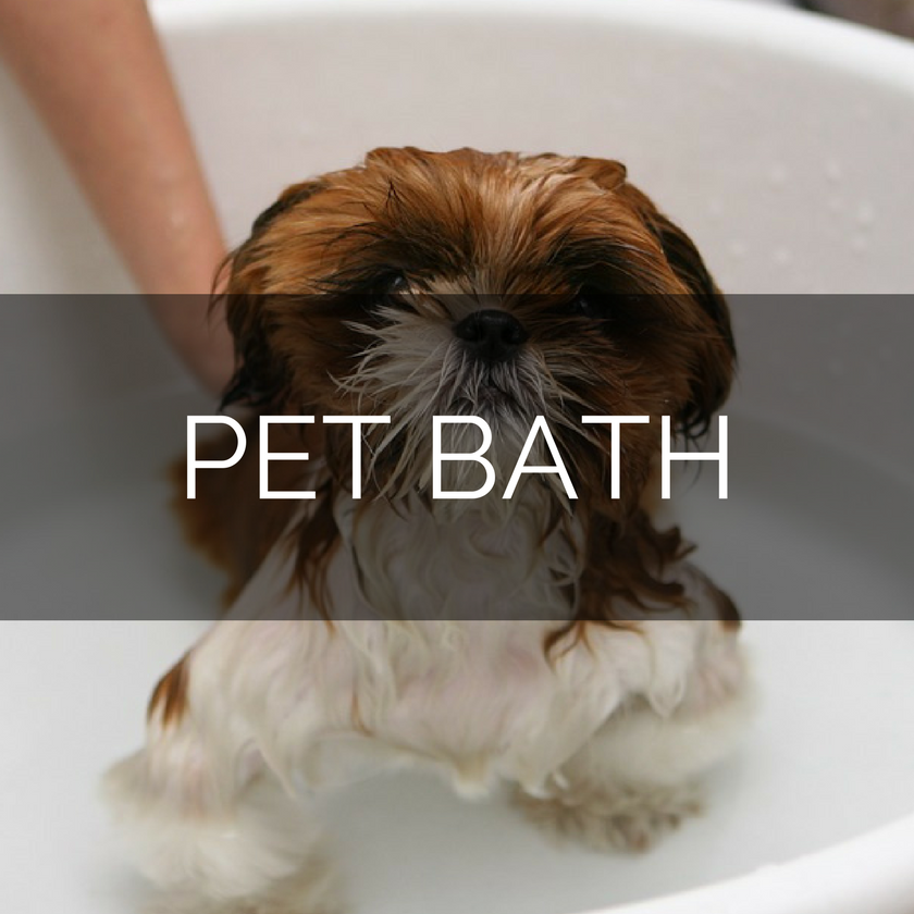 PET BATH