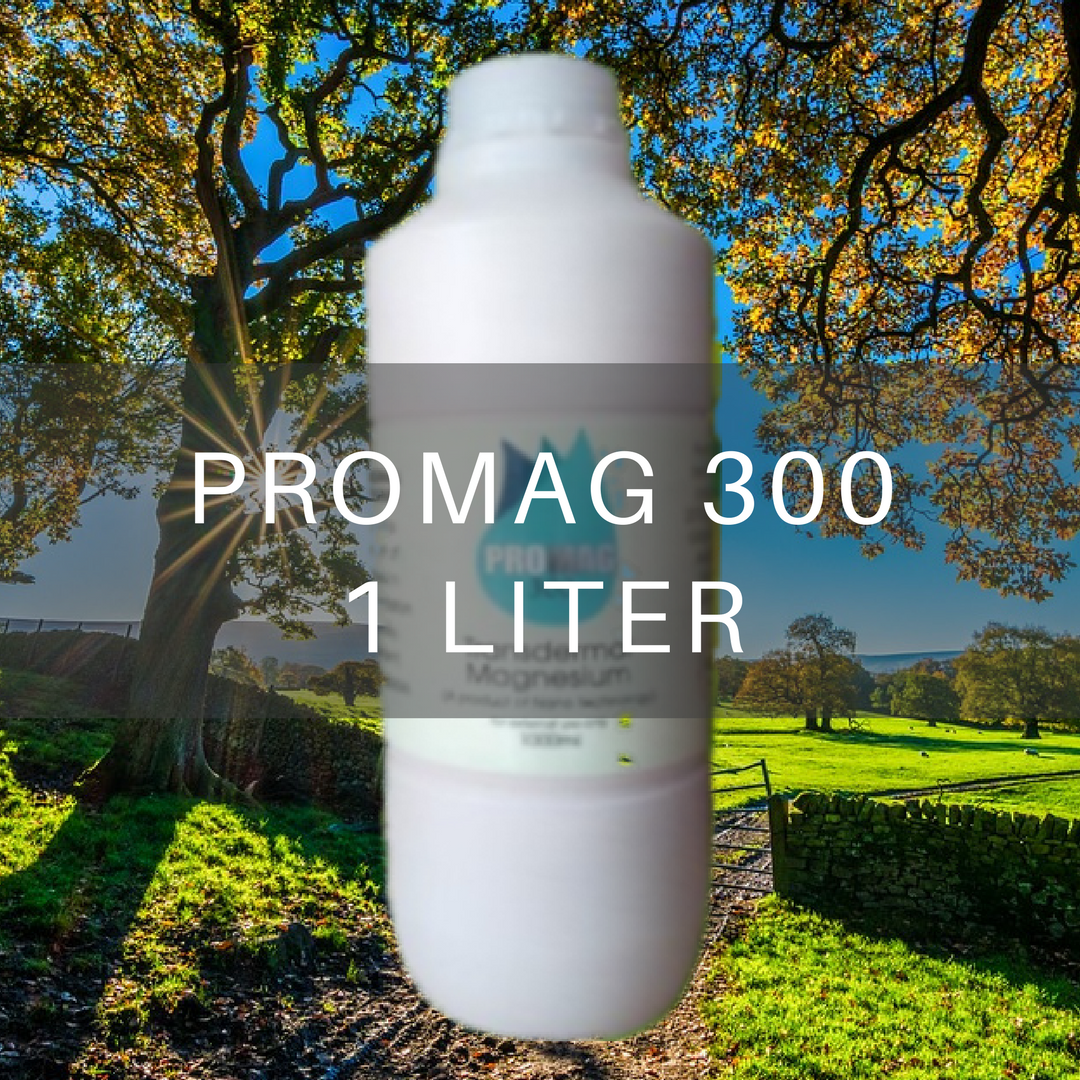 PROMAG 300 1 LITER (For Philippine Market Only - Not Able To Send Outside Philippines)